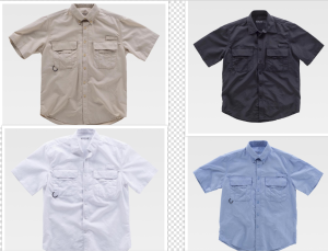 WorTeam Camisas B8510