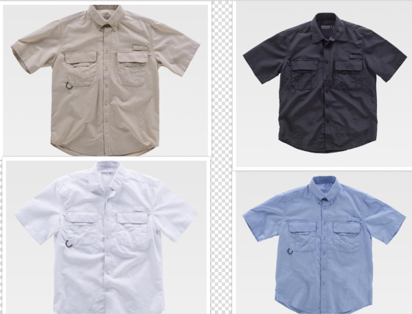 WorTeam Camisas B8510